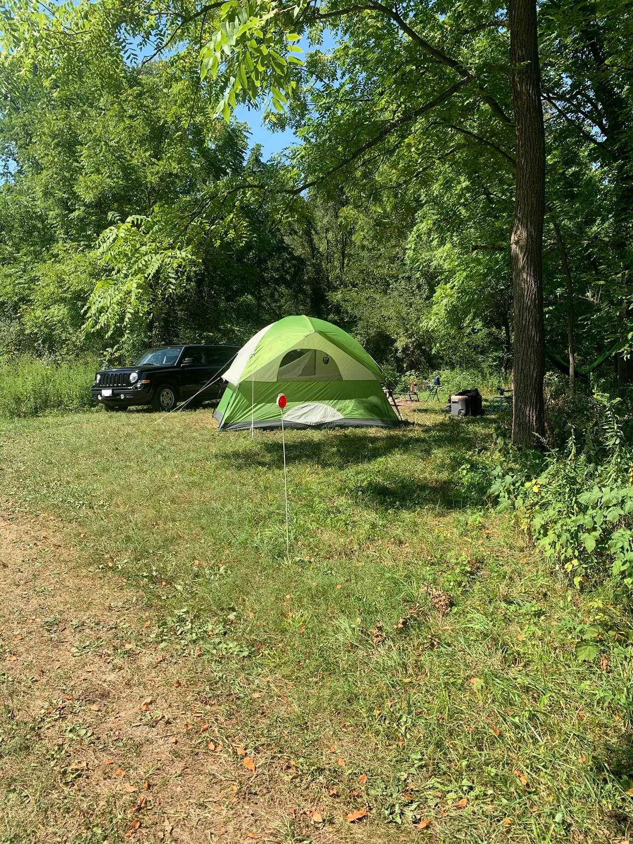 Picture of the site