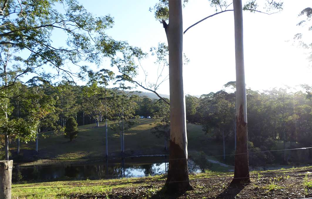 Picture of the site