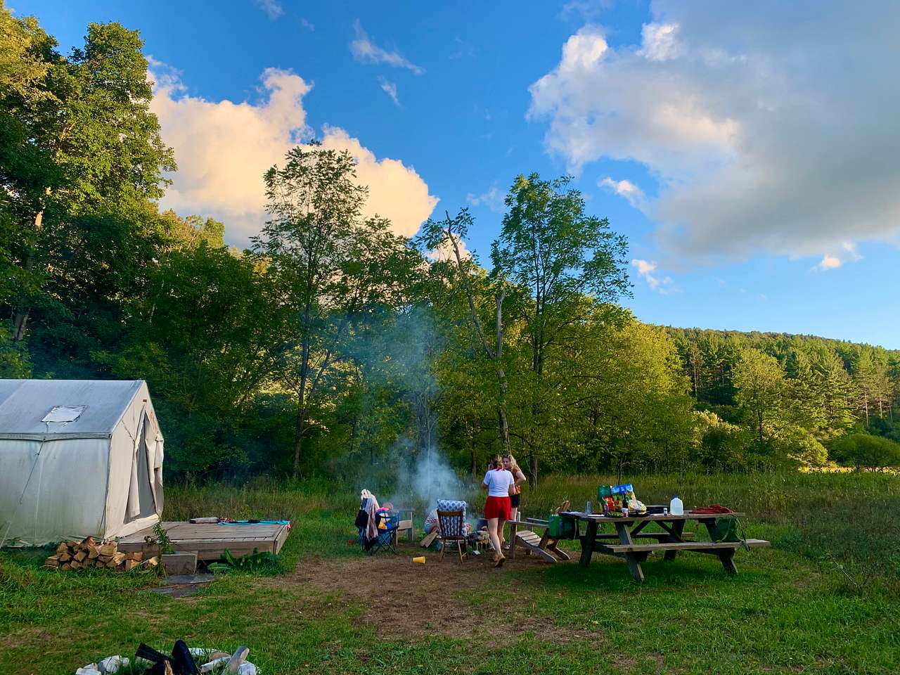 Picture of the site