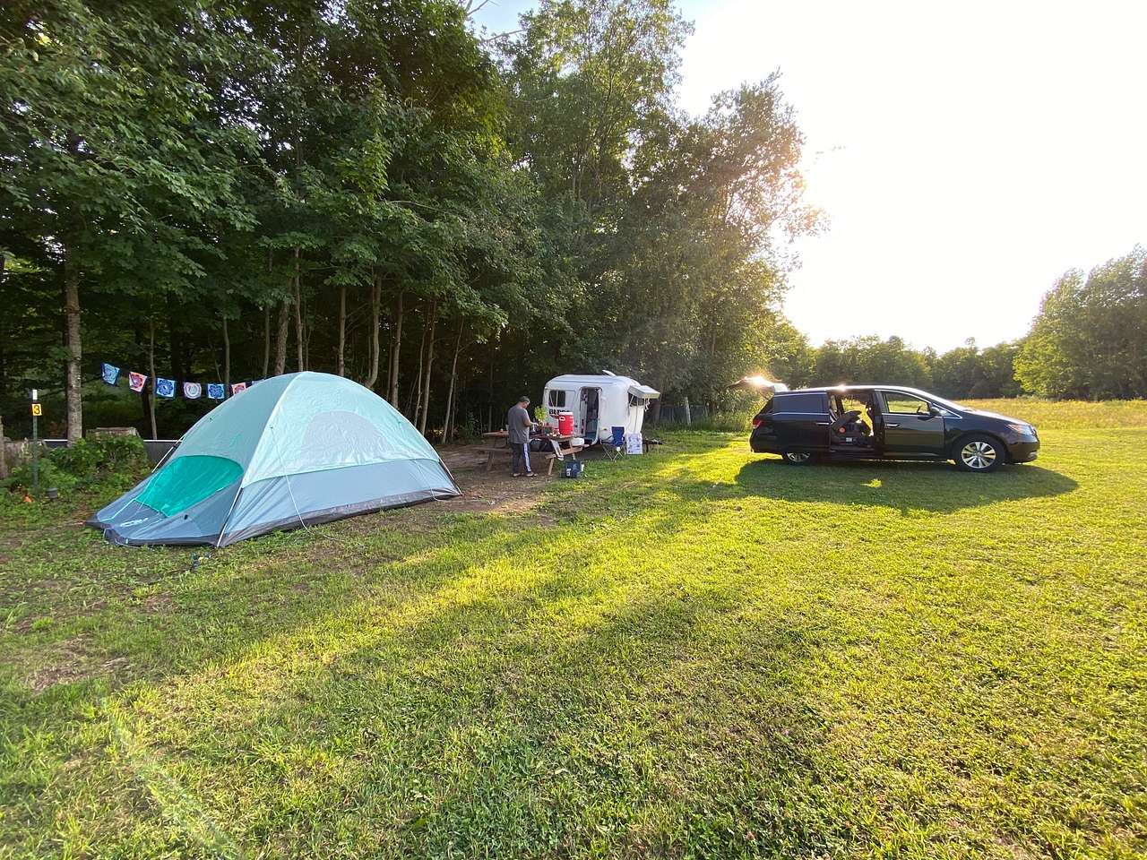 Picture of the site