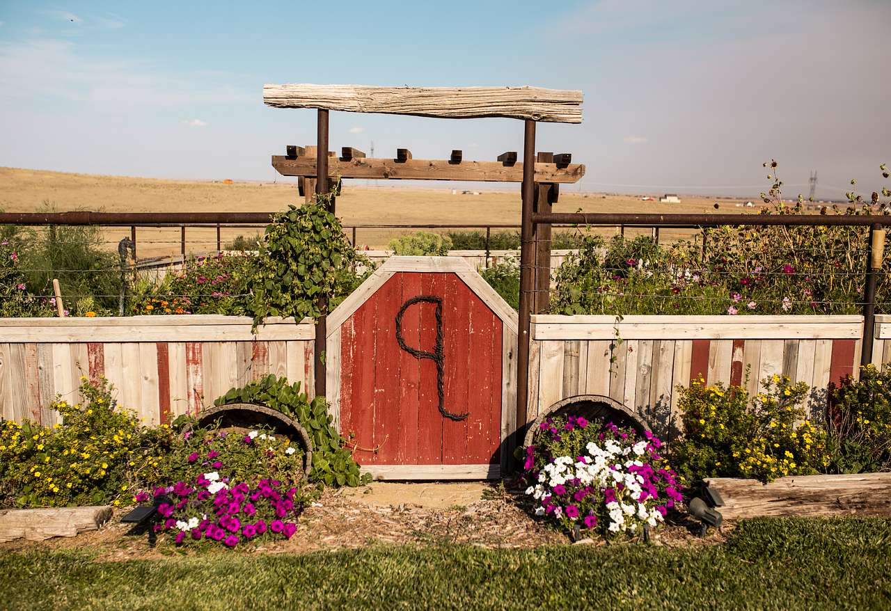 The beautiful garden!