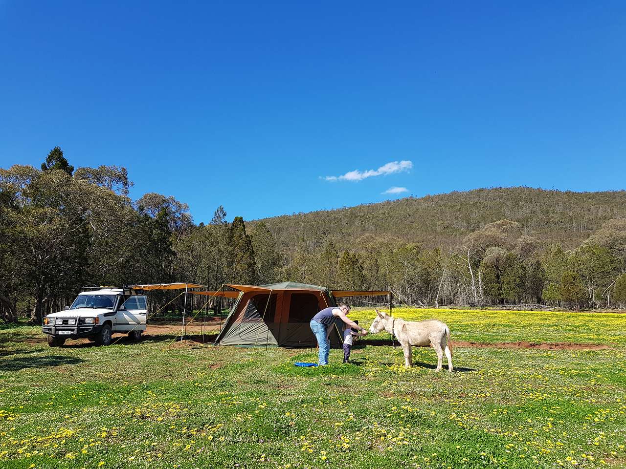 Picture of the site