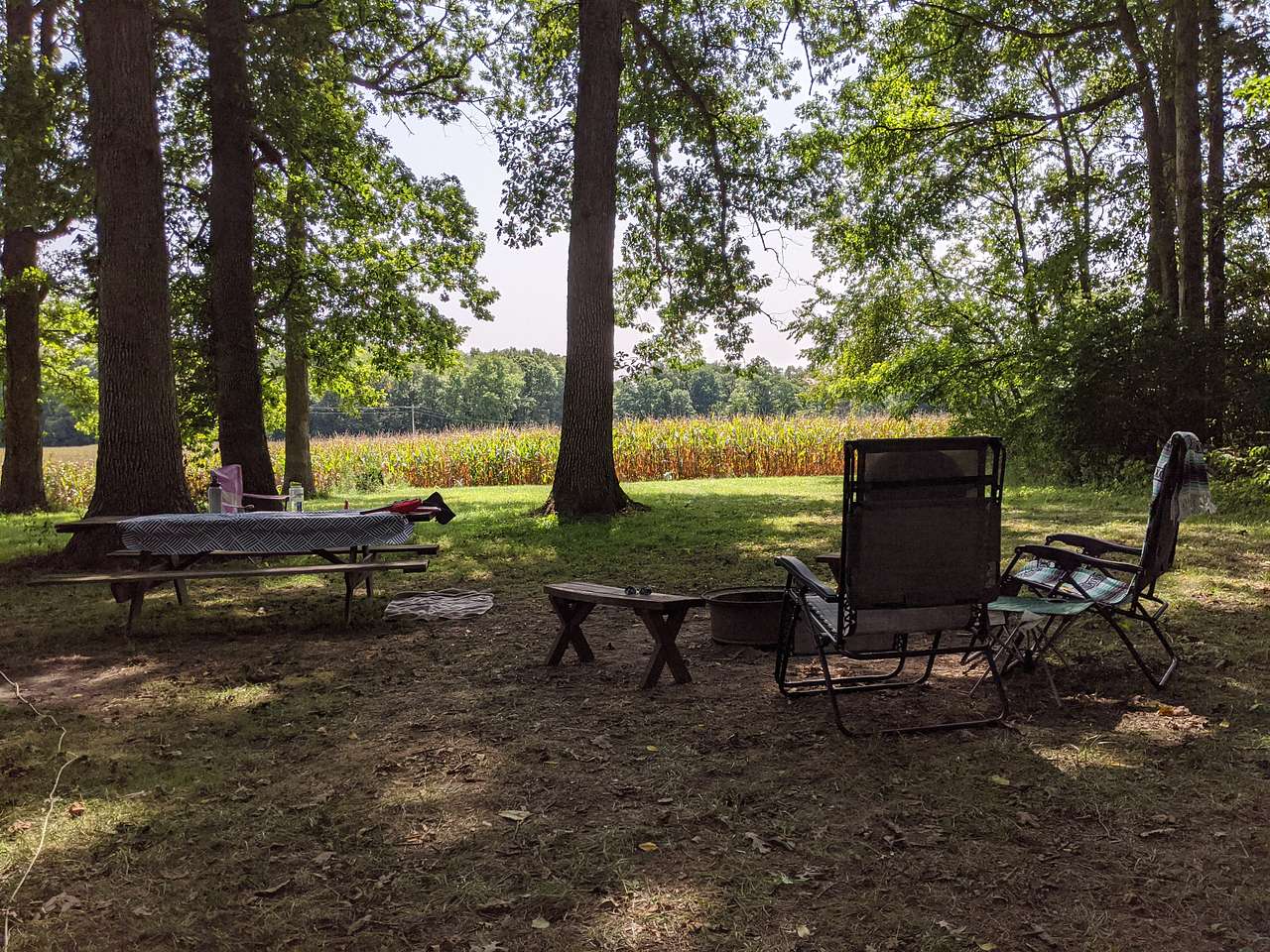 Picture of the site