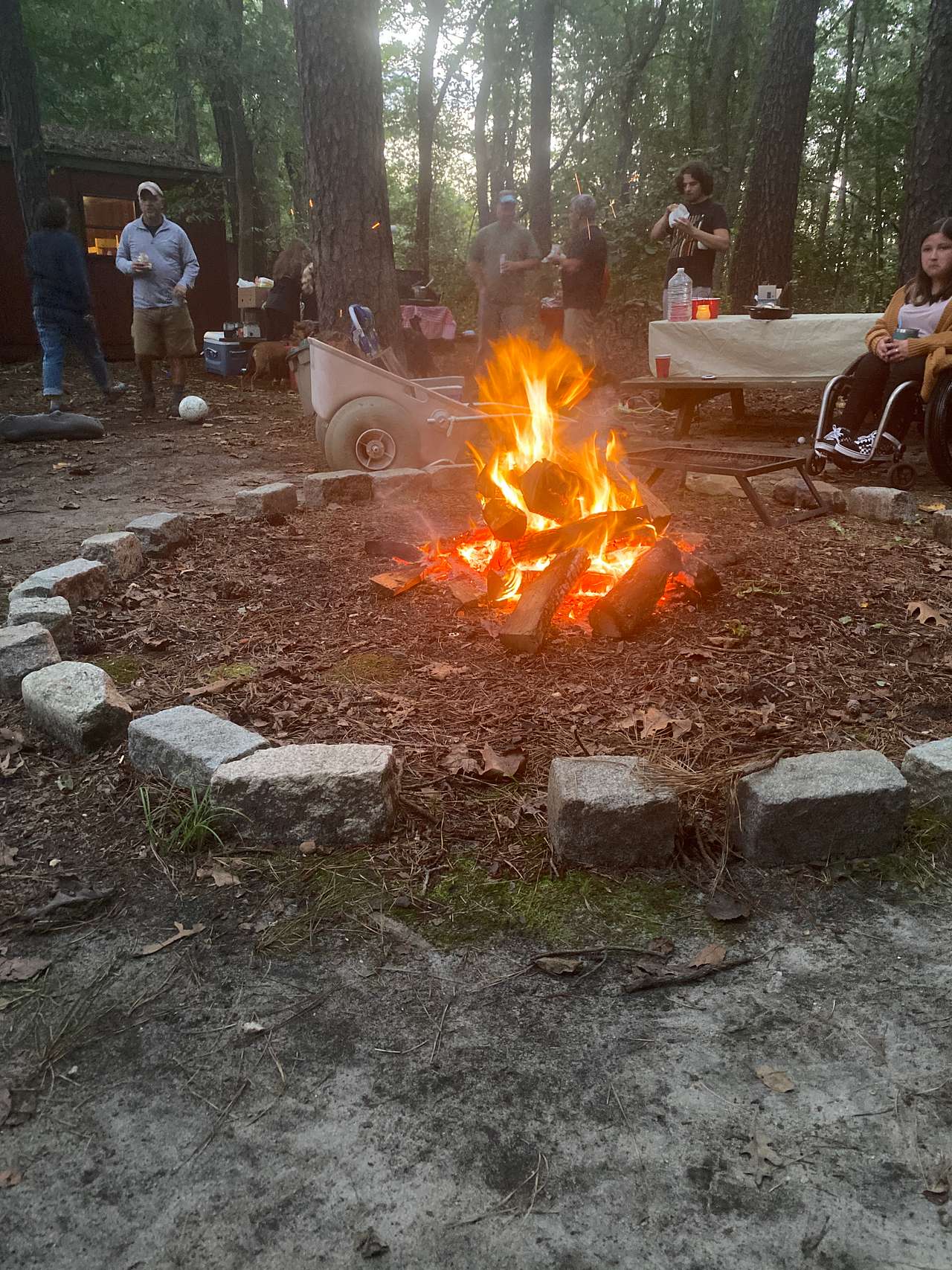 Picture of the site
