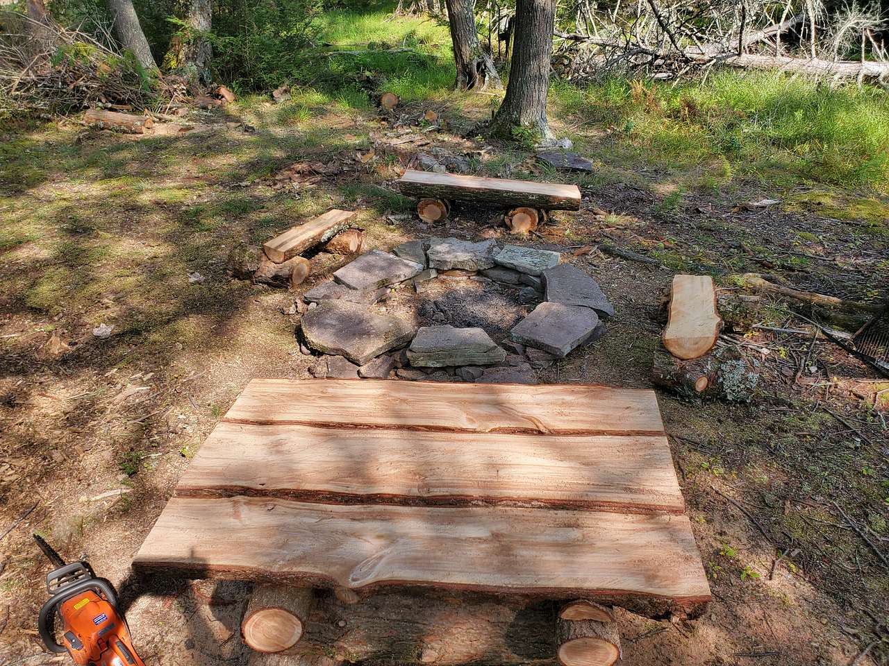 Picture of the site