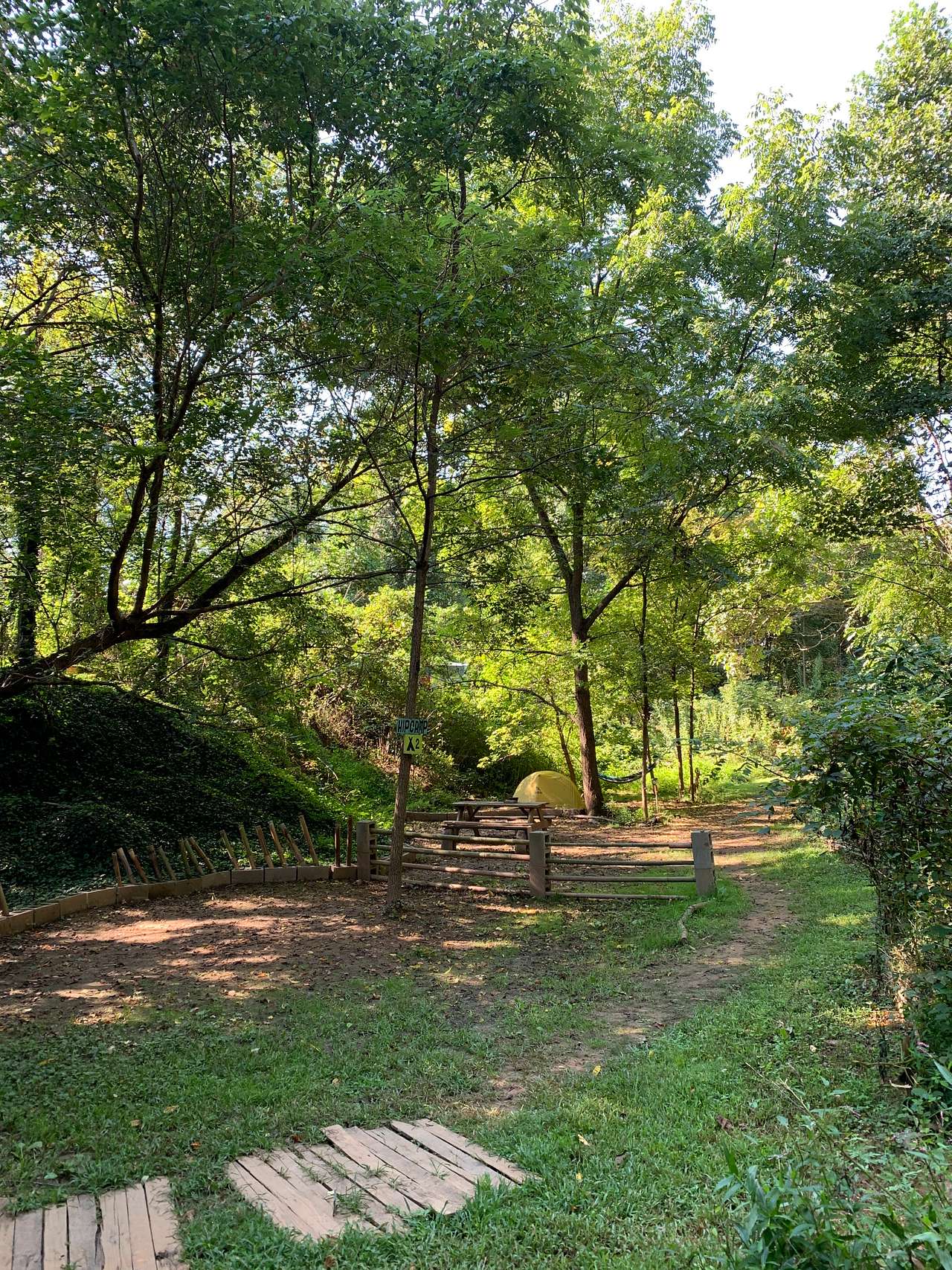 Picture of the site