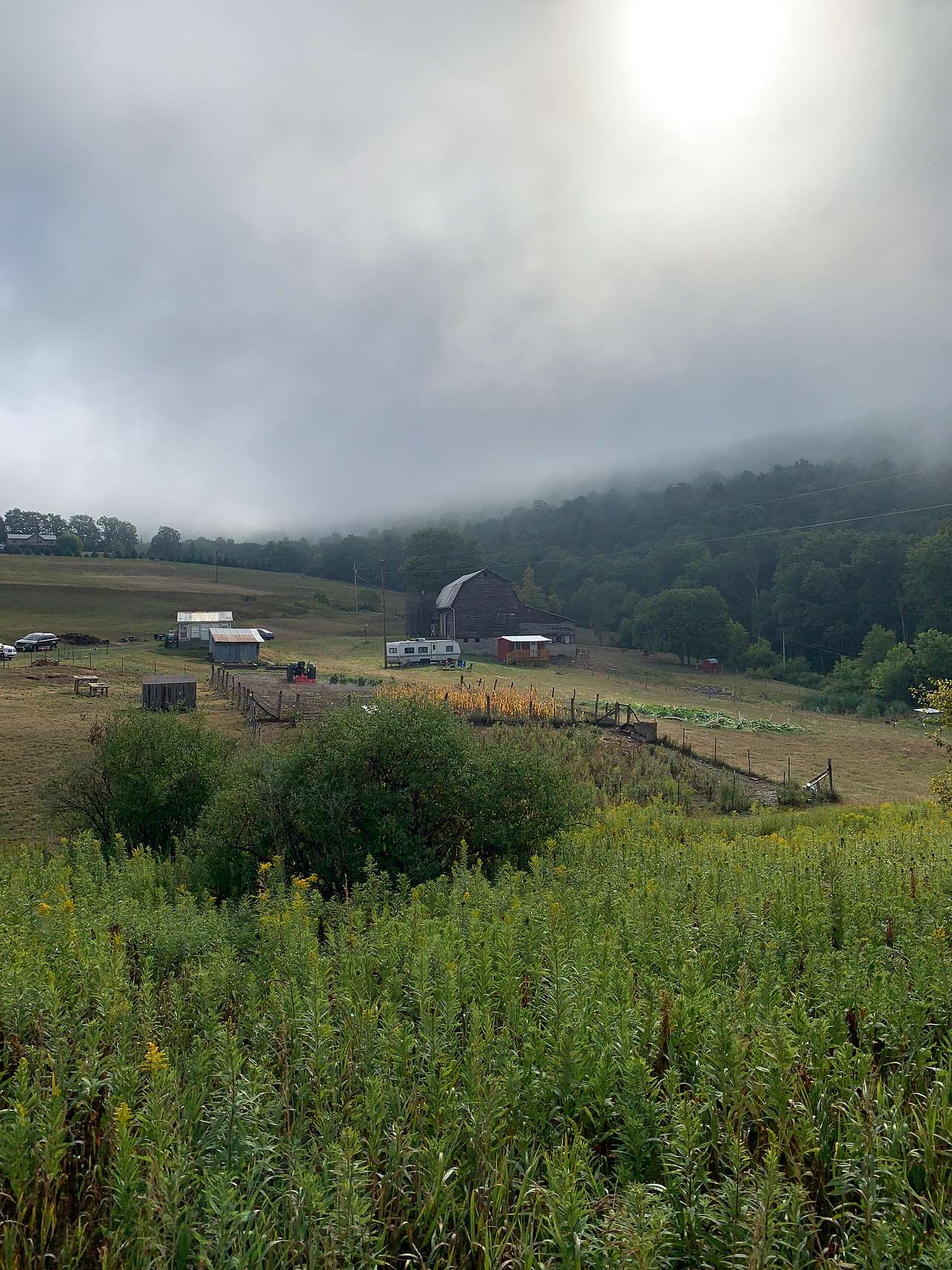 Picture of the site