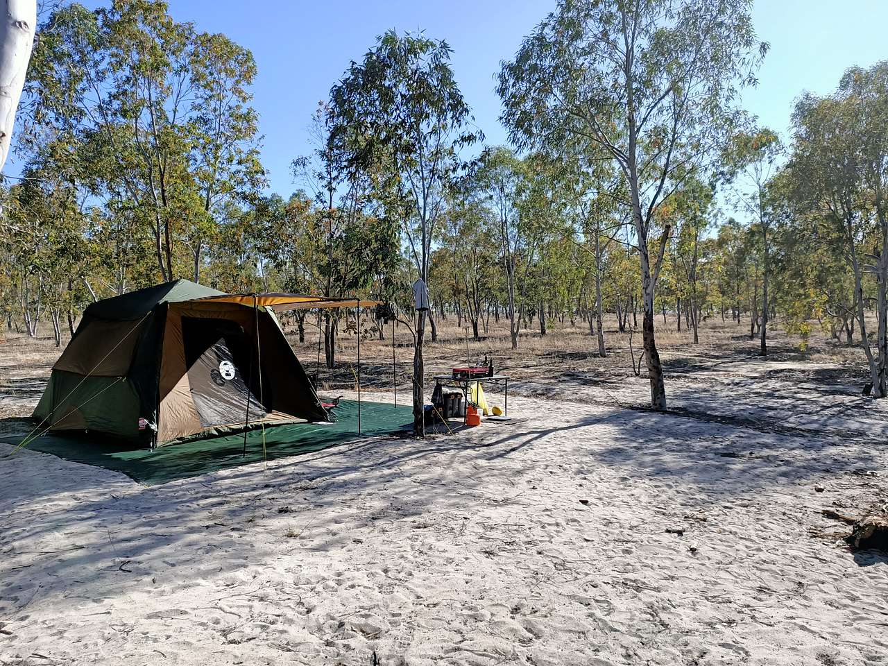 Picture of the site