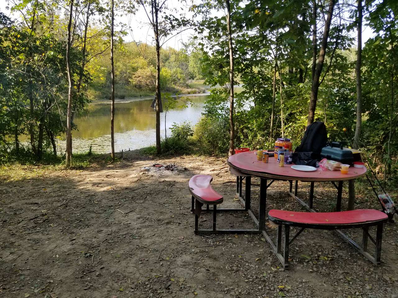 Picture of the site