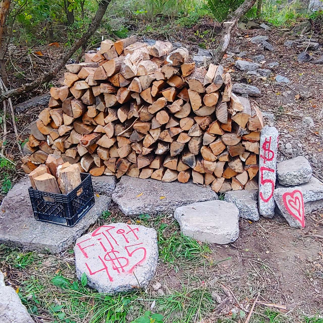 Picture of the site