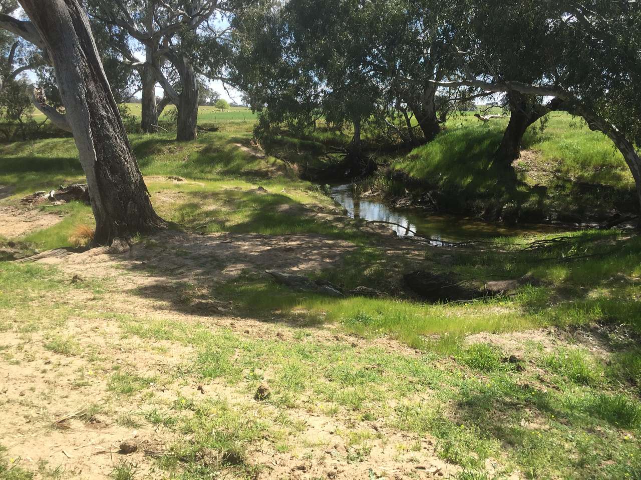 Picture of the site