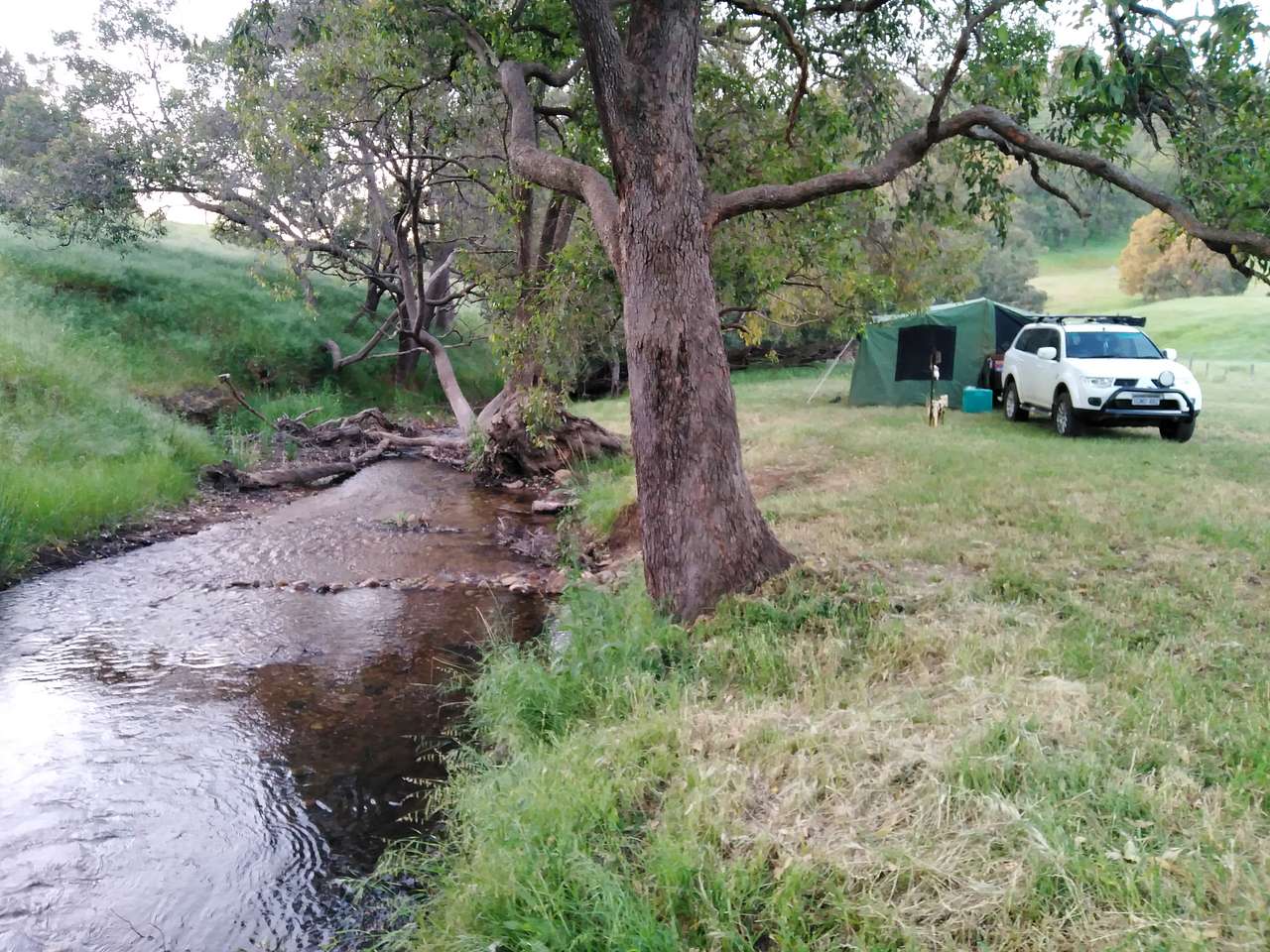 Picture of the site