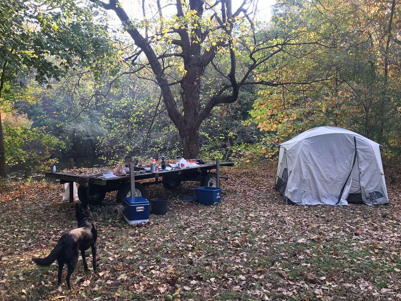 View pets photos of 15 Acre Wood on Lake