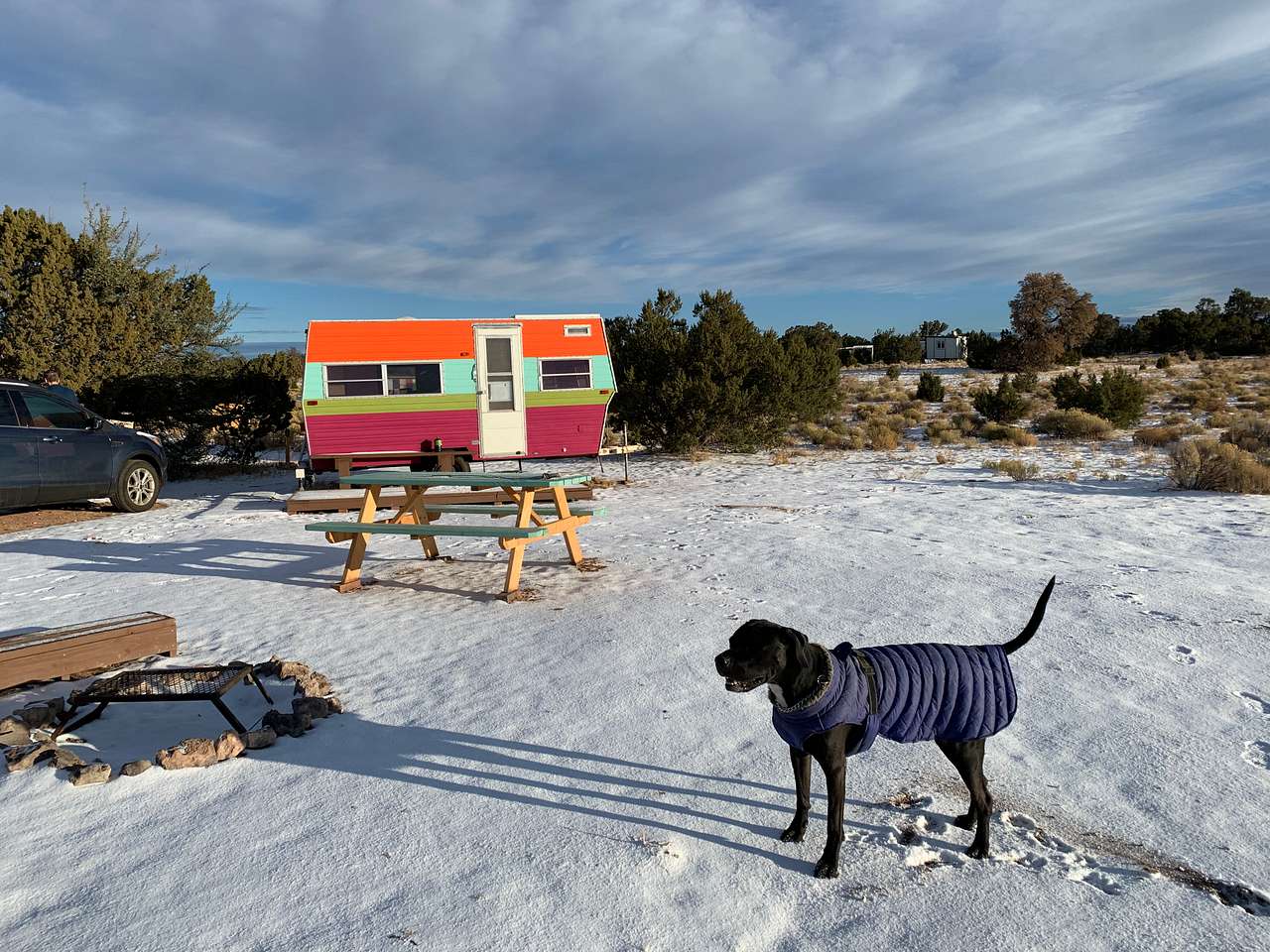 Our pupp enjoying his stay. 