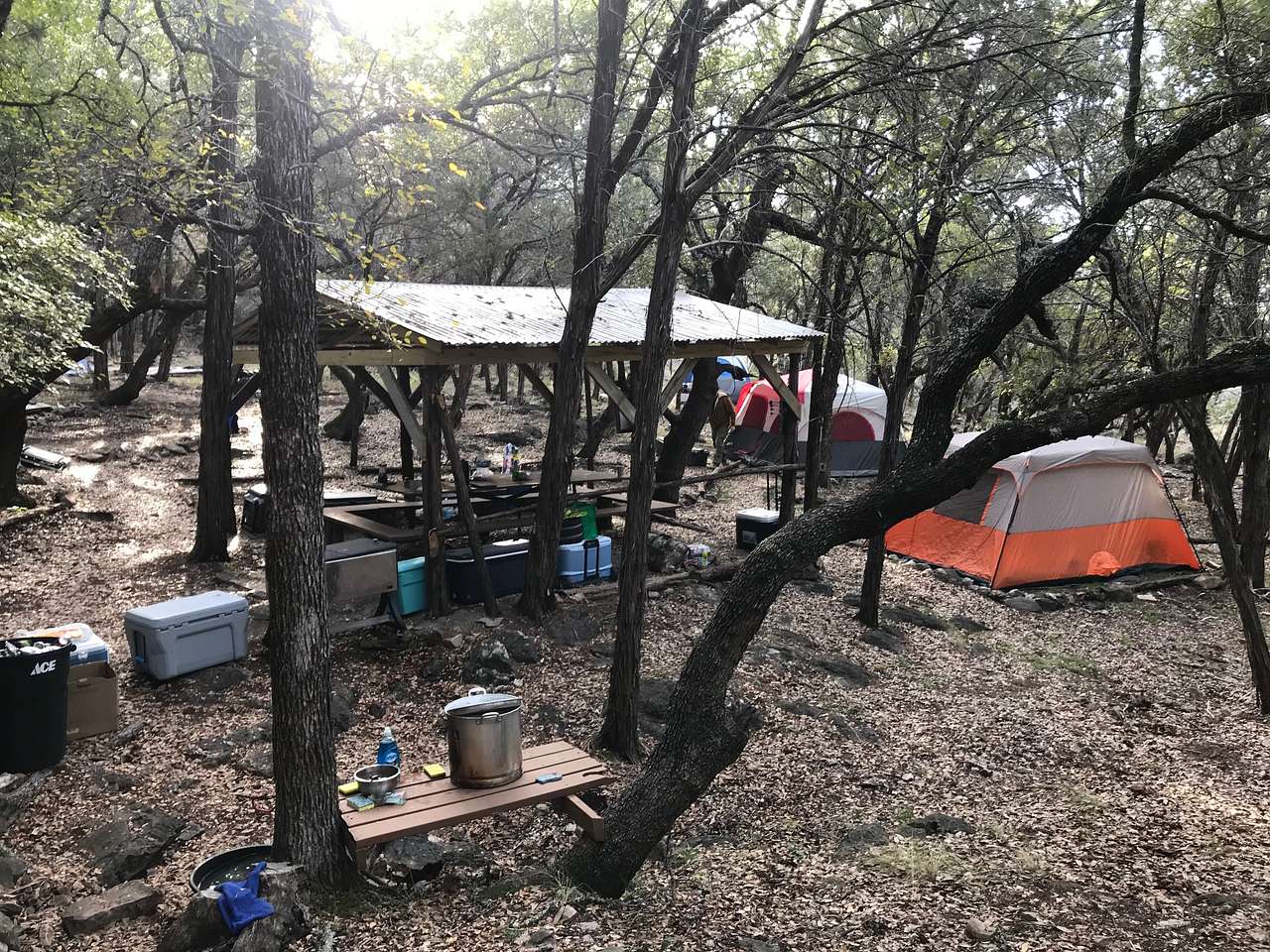 Picture of the site