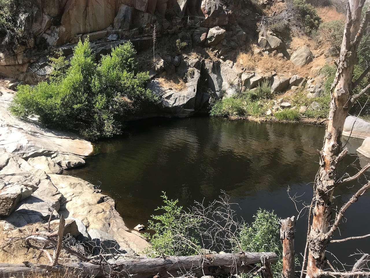 Picture of the site