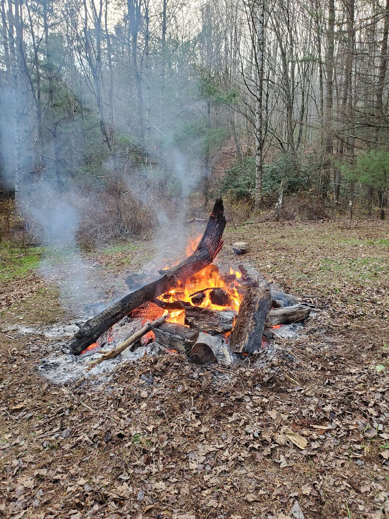 campfire