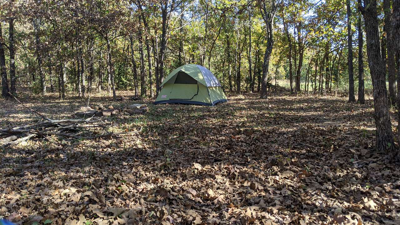 View tents photos of Wild Blue Acres
