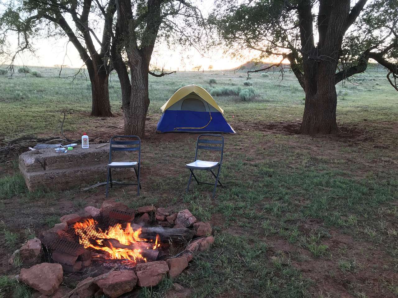 Picture of the site