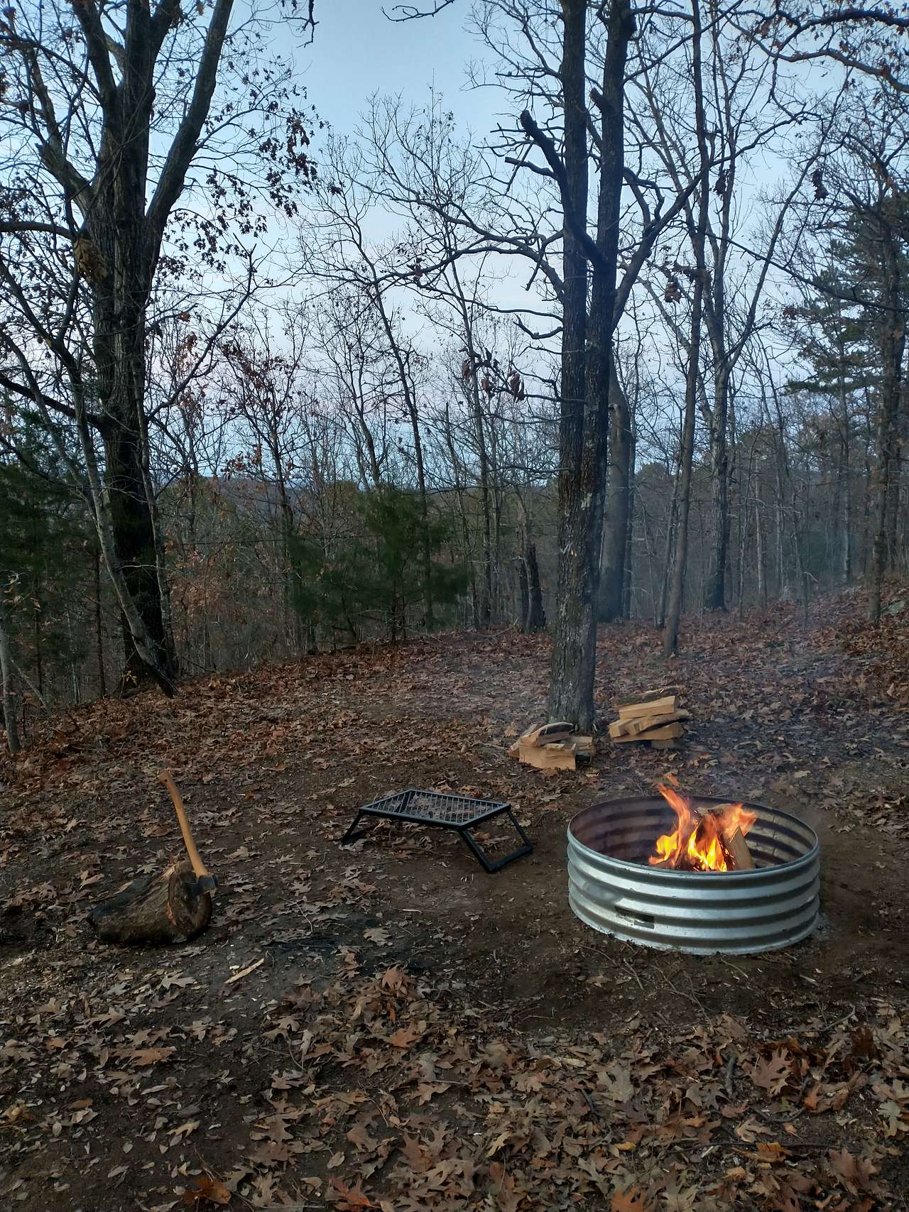 Picture of the site