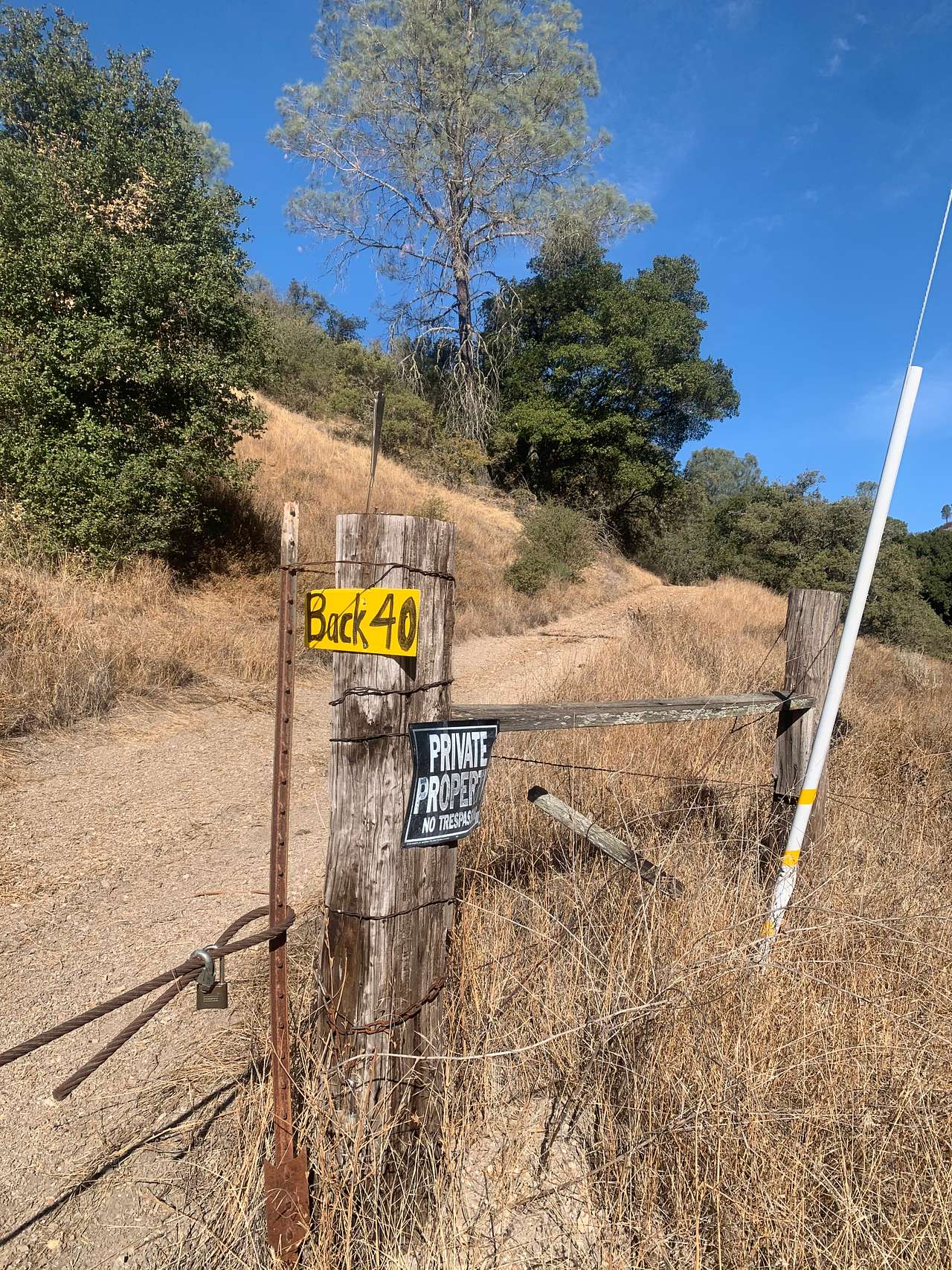 Picture of the site