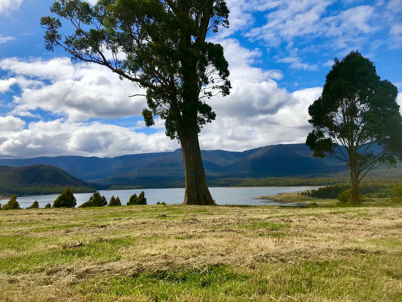 Photo 1 of 6 of Hill Top Farm Meander Tasmania