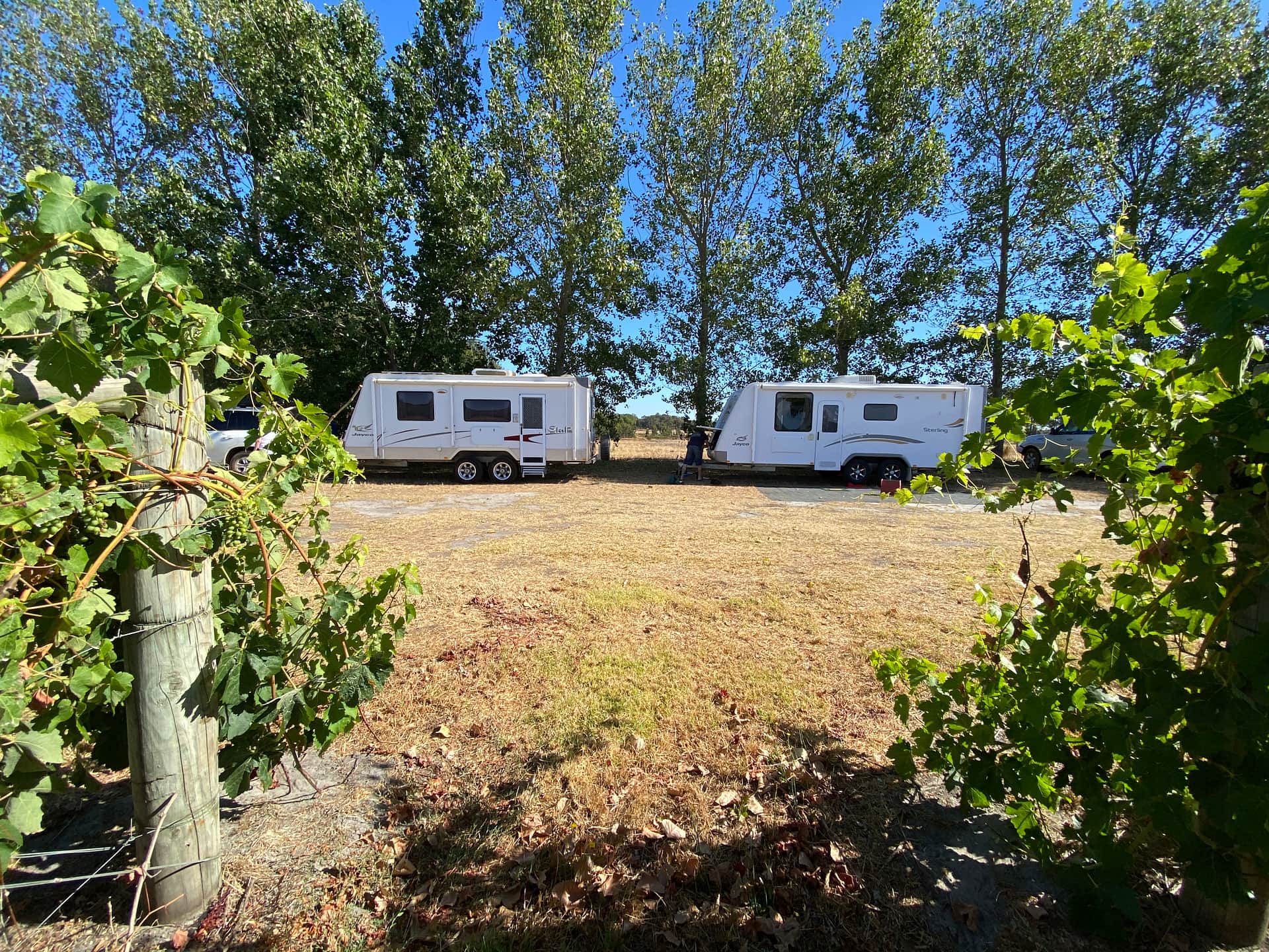 Picture of the site