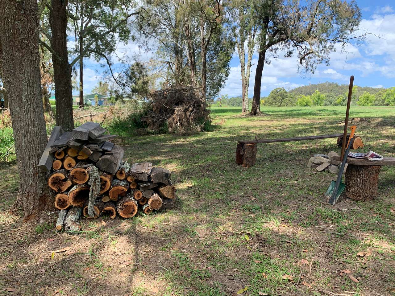 Picture of the site