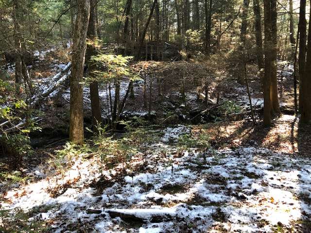 Photo 1 of 5 of A Magical Place to Visit