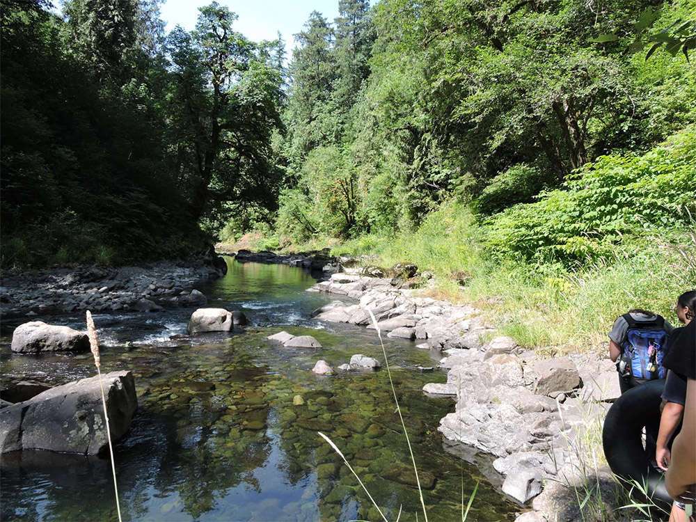 Picture of the site