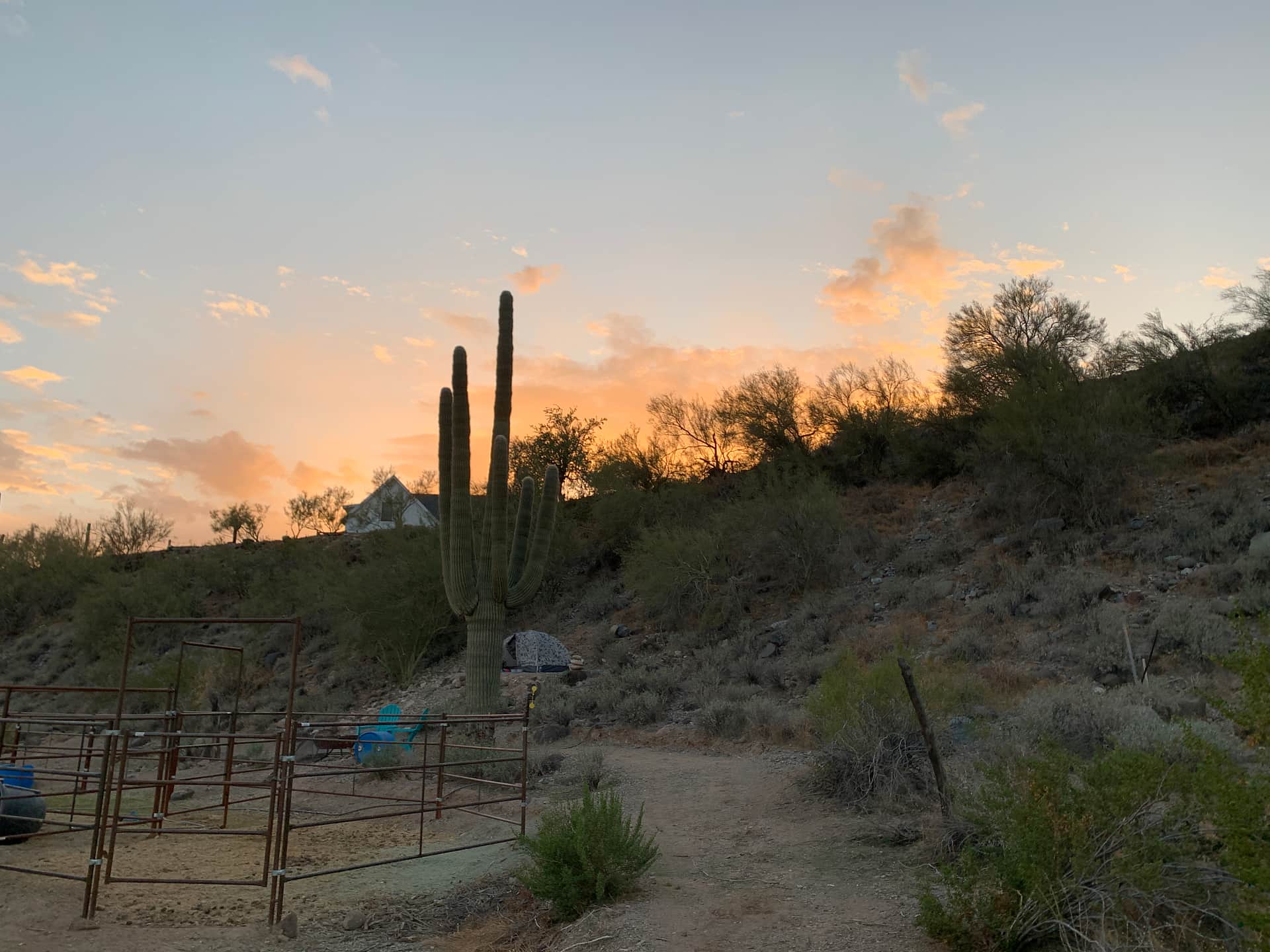 Picture of the site