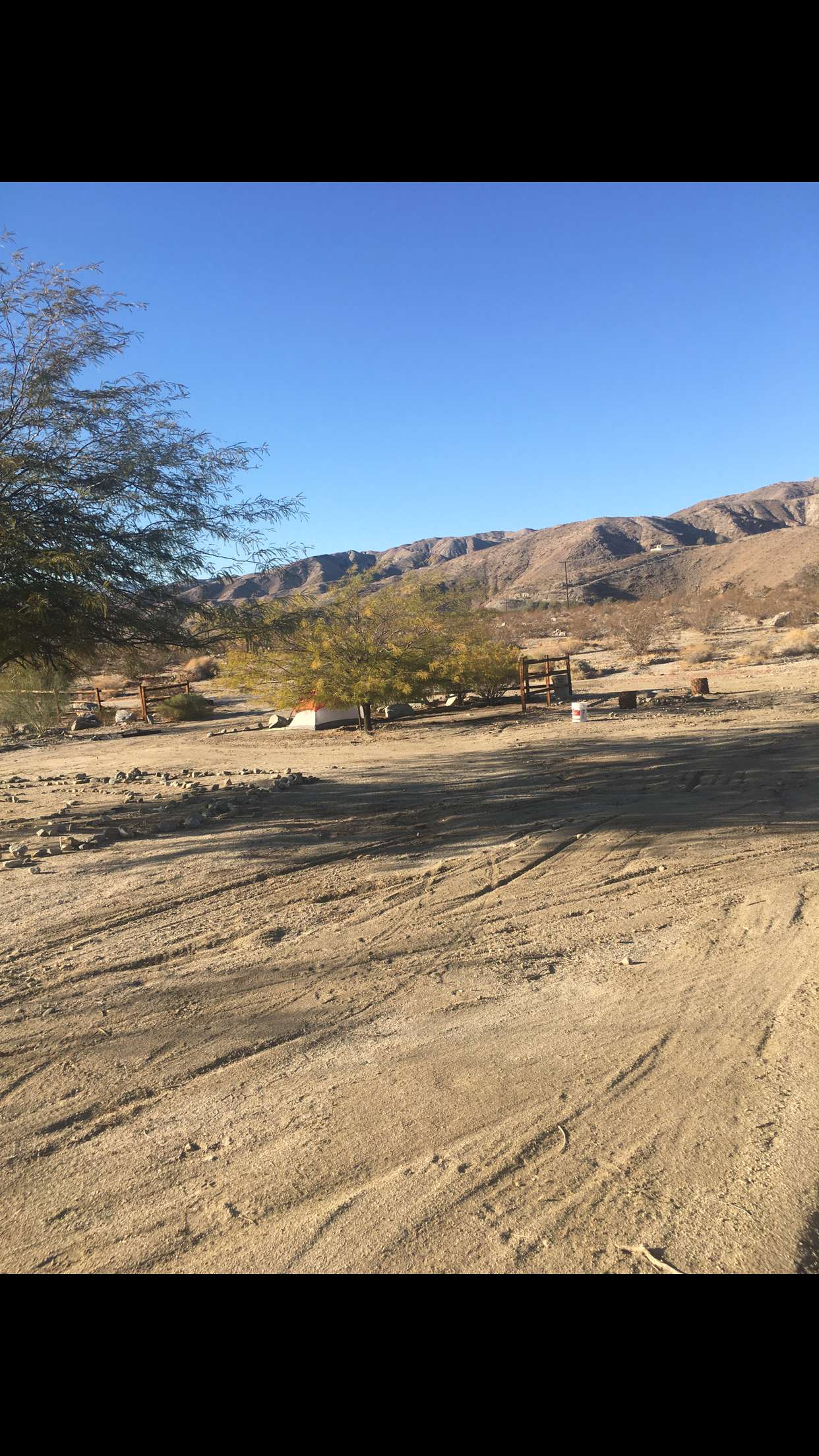Picture of the site
