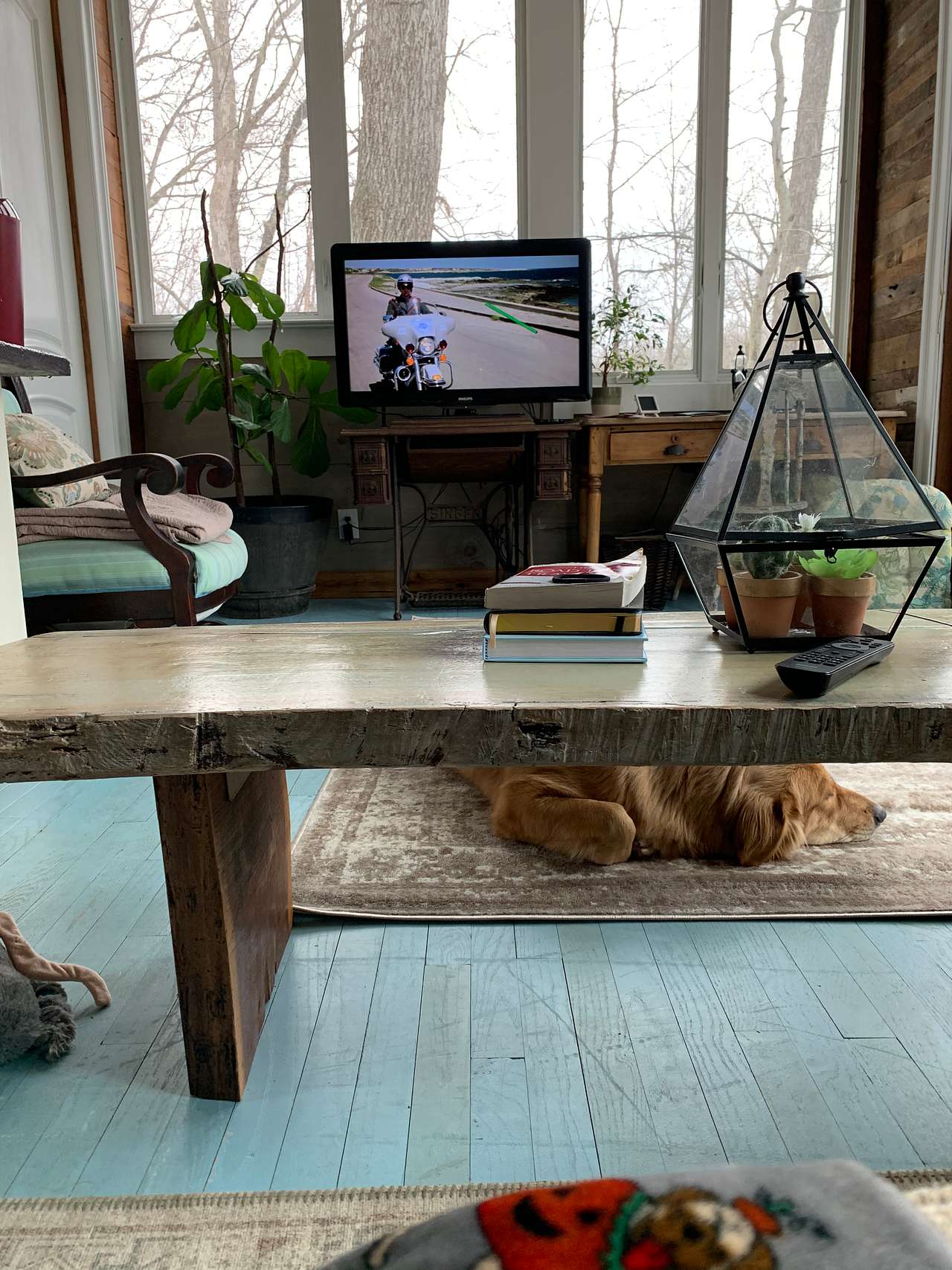 View pets photos of Tranquil Treehouse