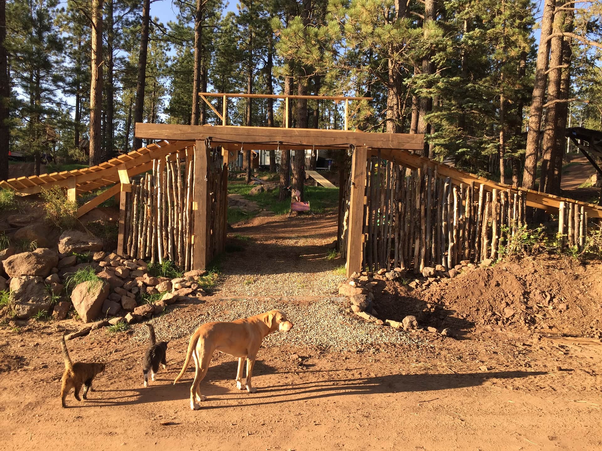 Picture of the site