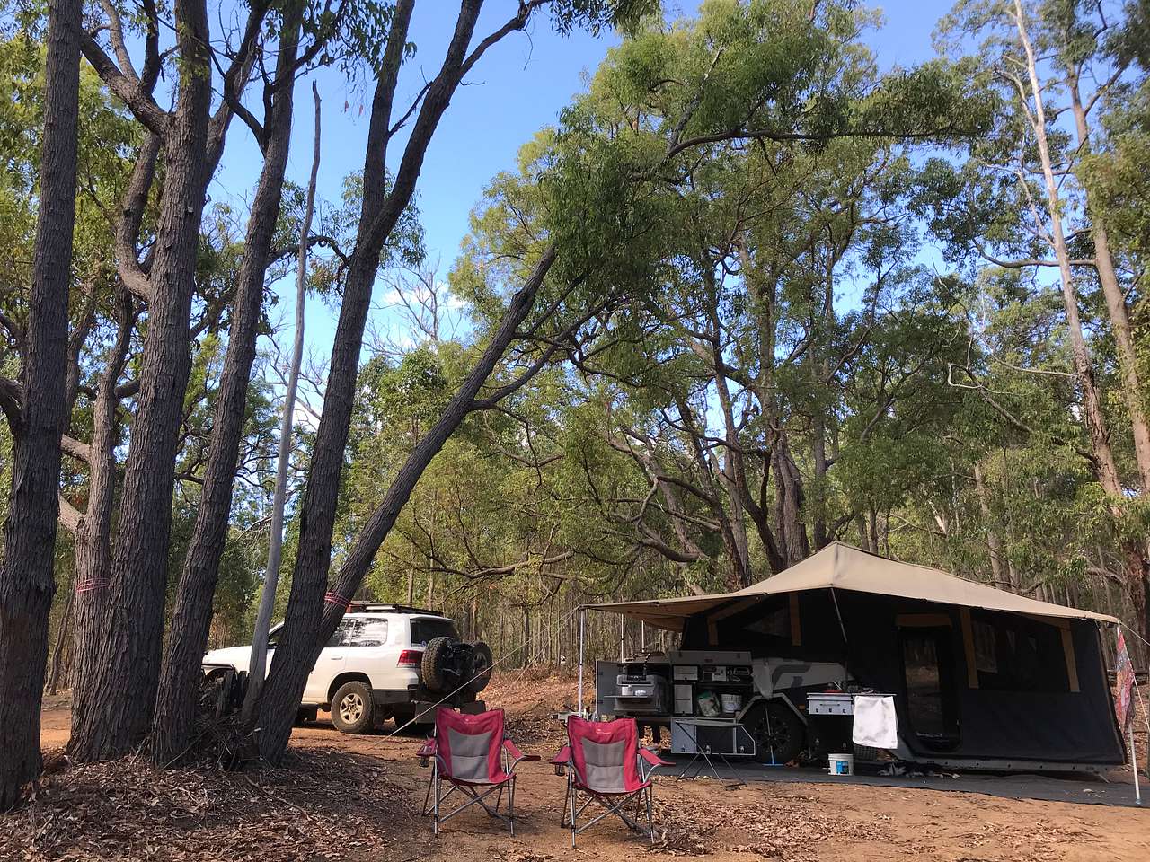Picture of the site