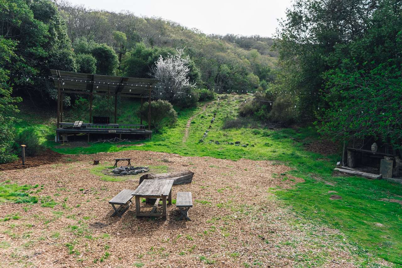 Picture of the site