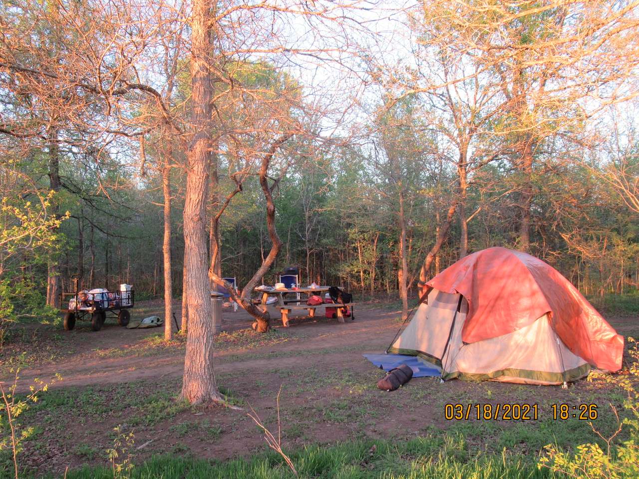 Picture of the site