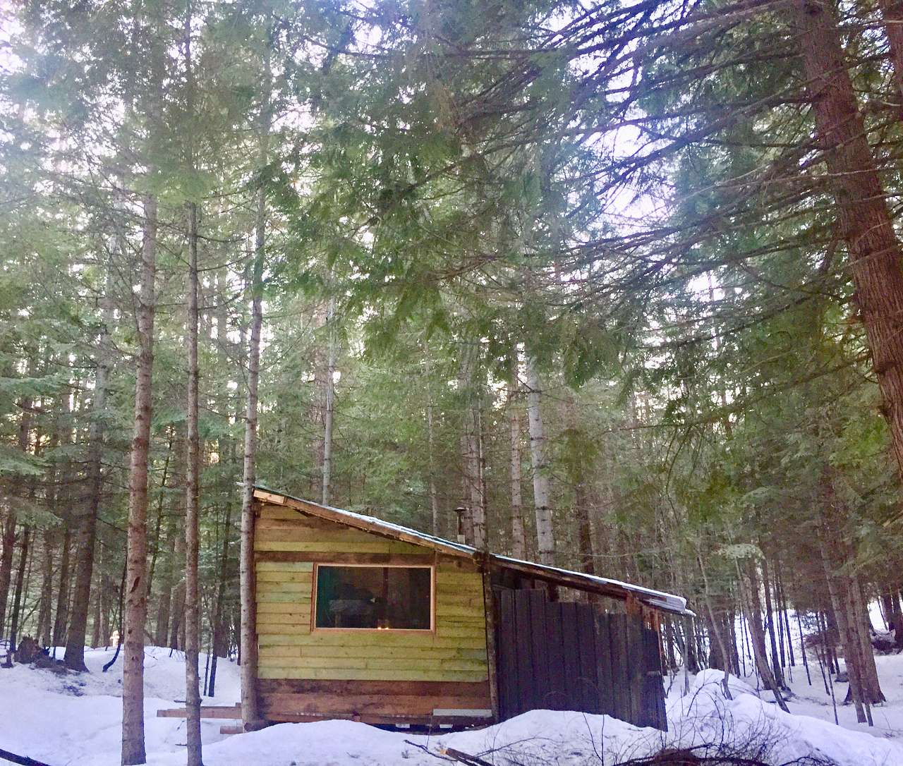 View lodging photos of Sandpoint Mountain Tiny House