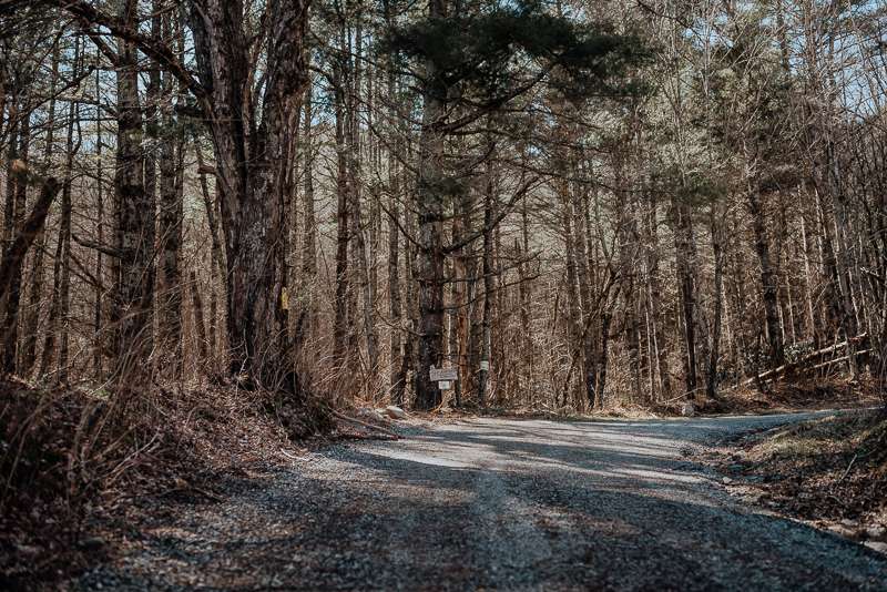 The view from the road as you approach the campsite.