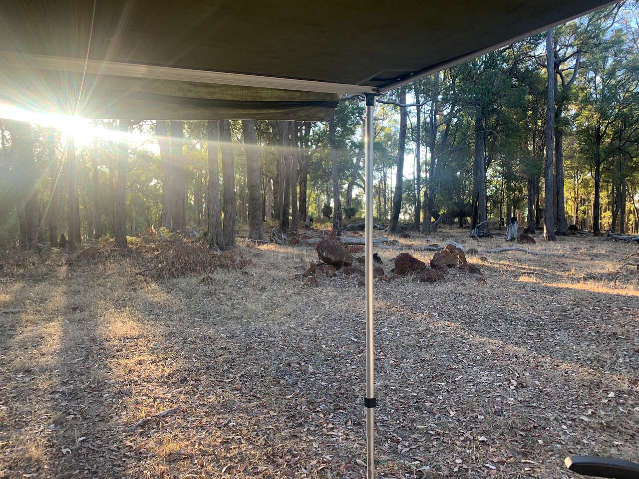 Picture of the site