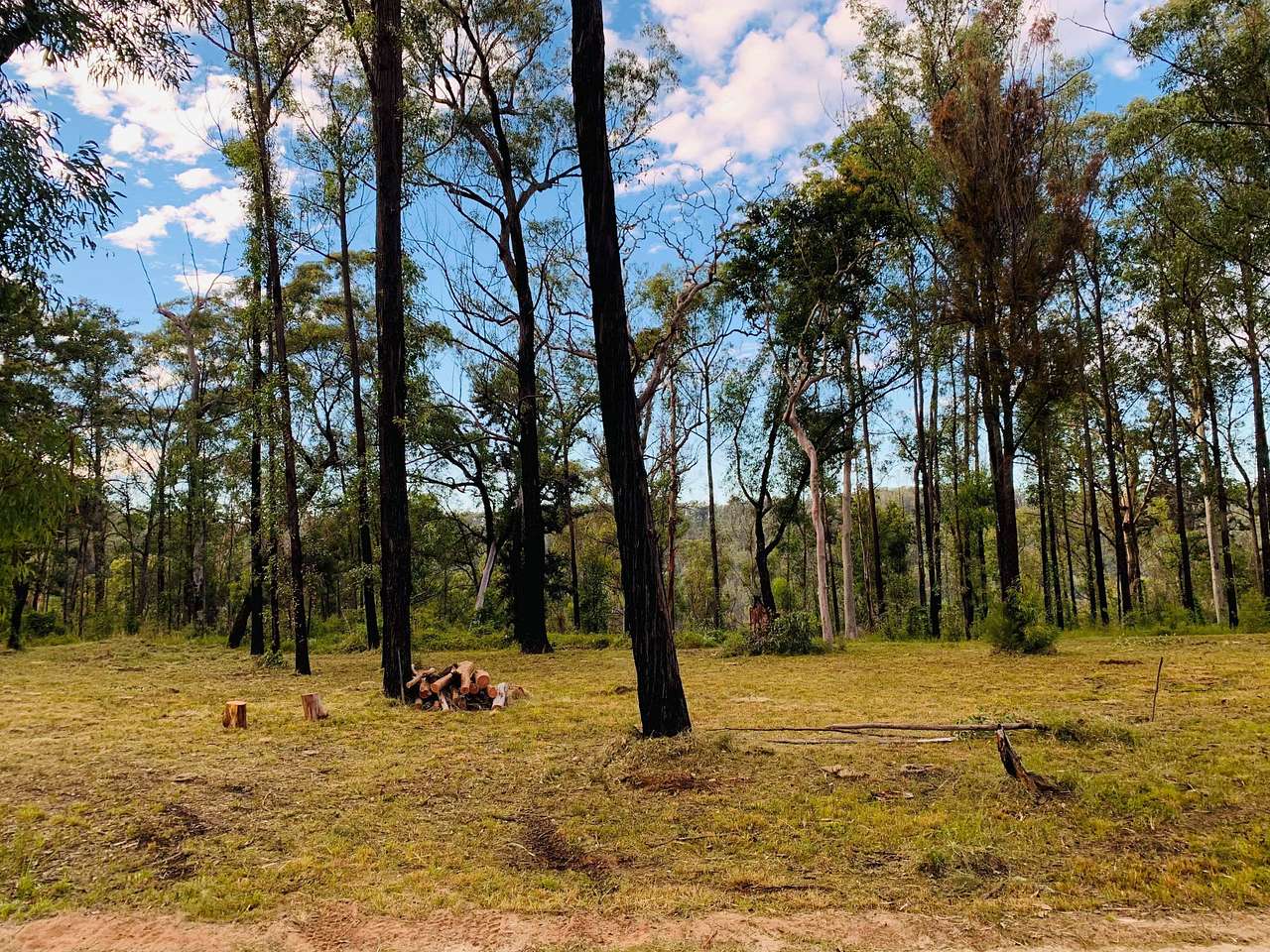 Photo 1 of 6 of Kamameja Remote Bush Camp
