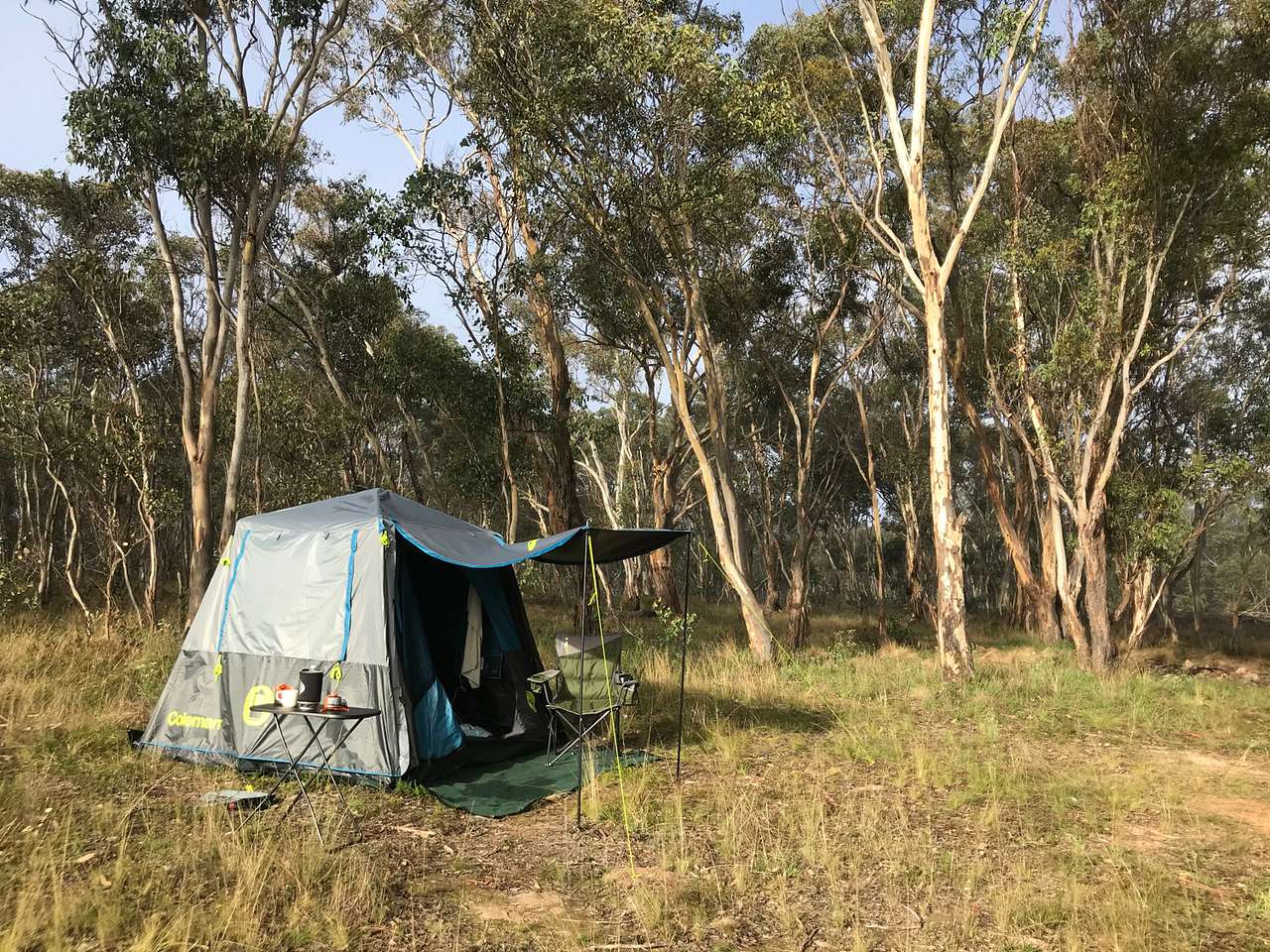 Picture of the site