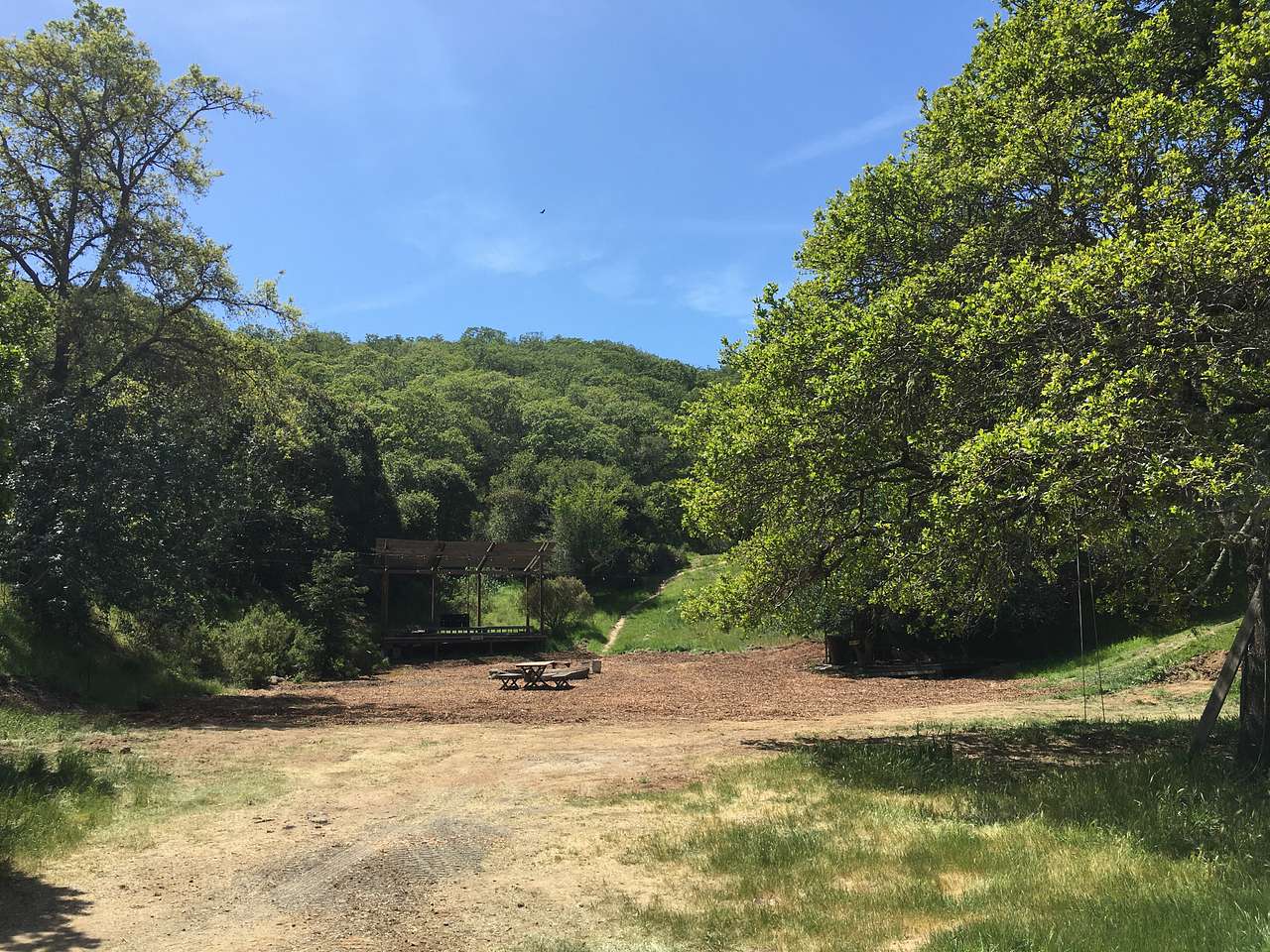 Picture of the site