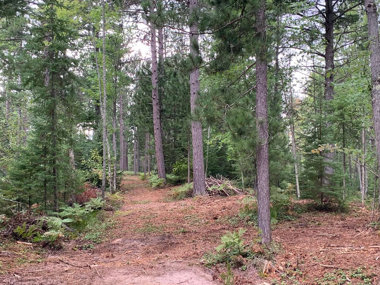 View more photos of Blueberry fields campground