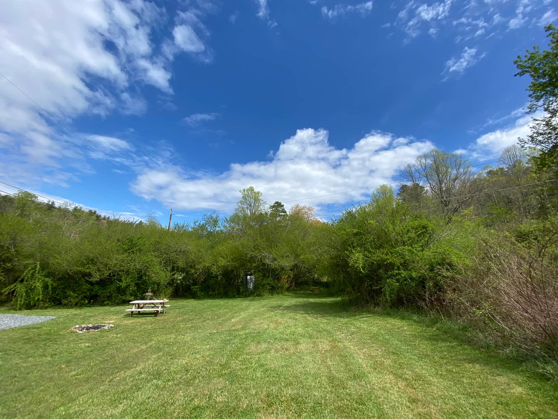 Picture of the site