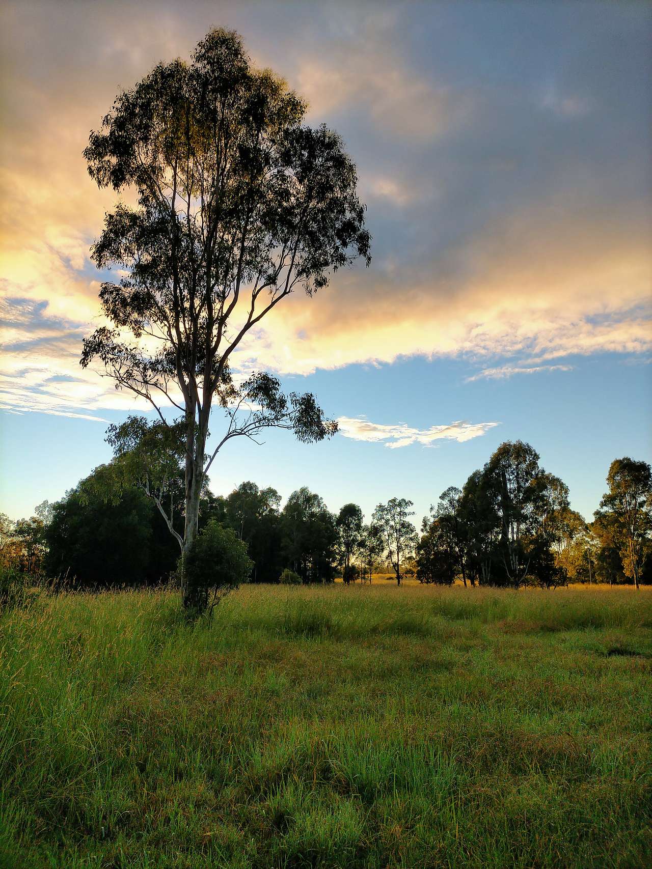 Sunrise at Gracemere