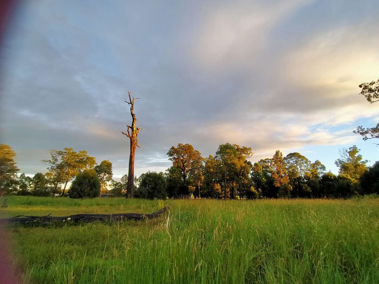 View more photos of Gracemere Farmstead Camping