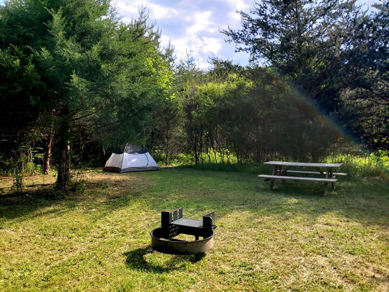 Picture of the site