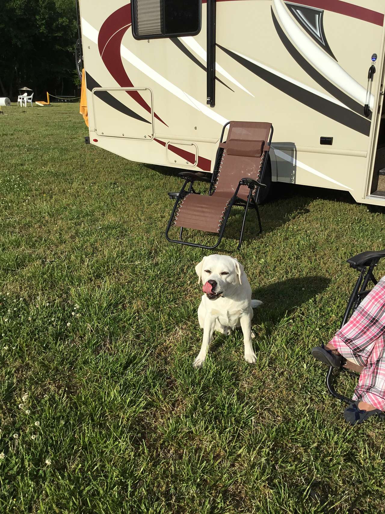View pets photos of Solitude at Thornton Farm