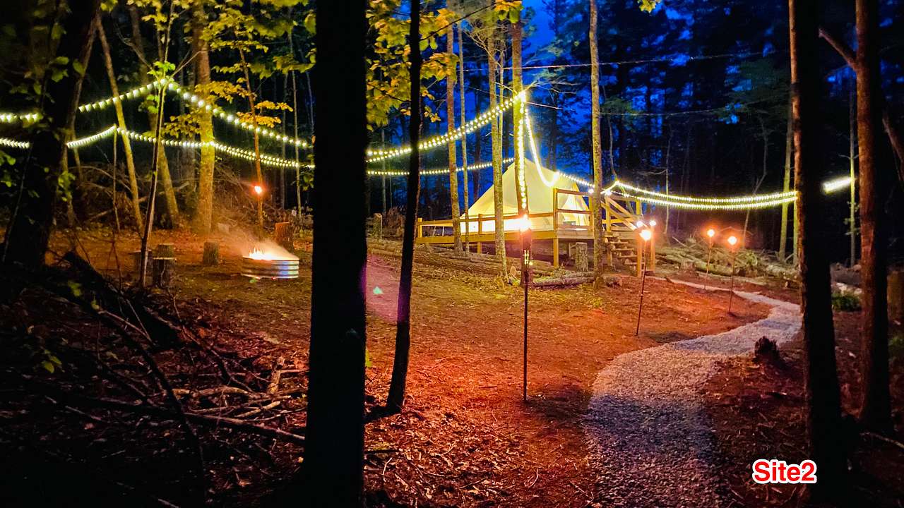 Picture of the site